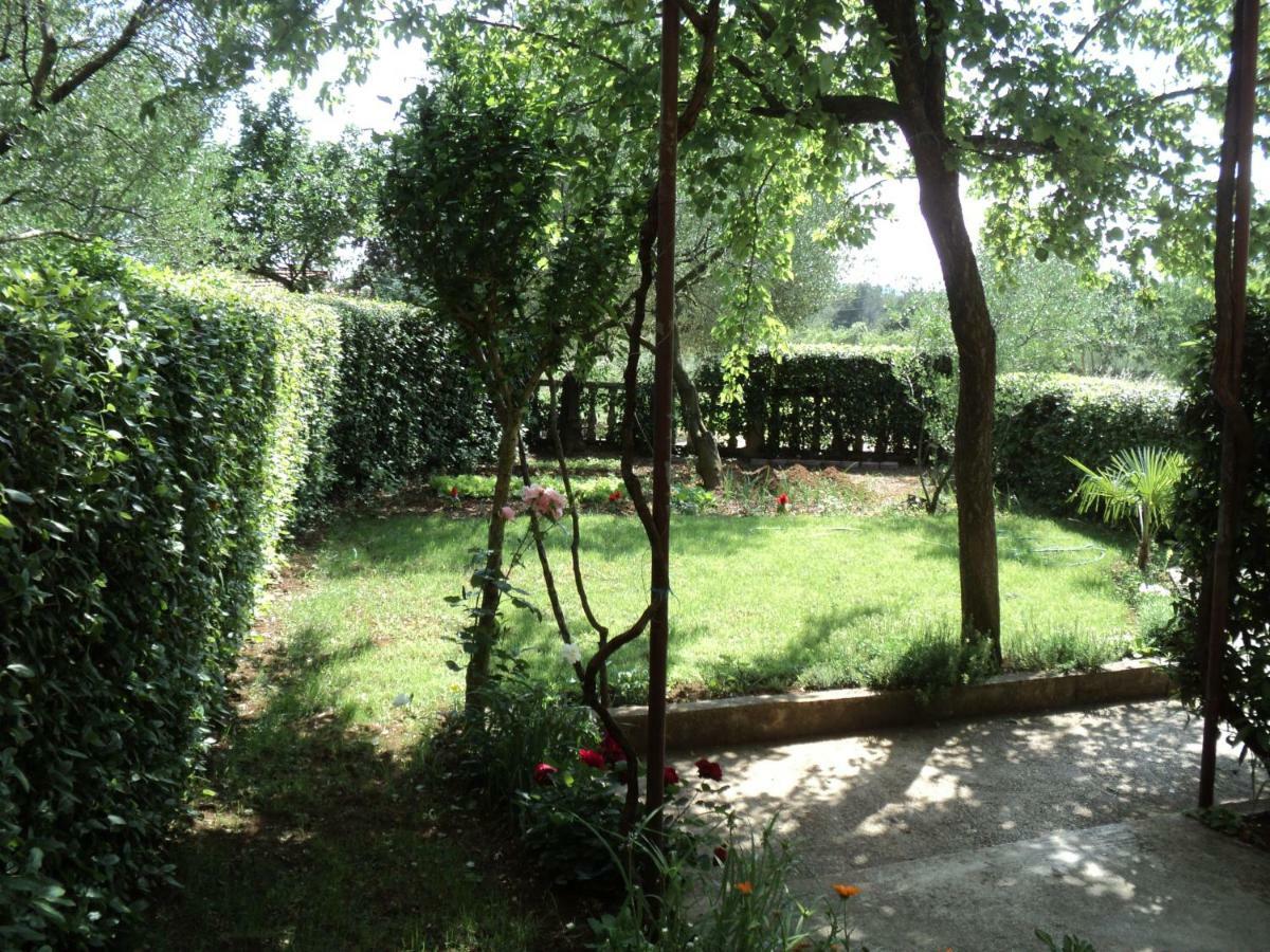 Apartment Martina บีโอกราดนาโมรู ภายนอก รูปภาพ